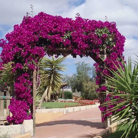 Finca La Bonita Las Galletas