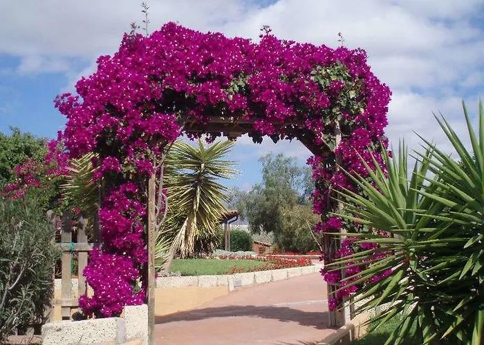 La Bonita Las Galletas